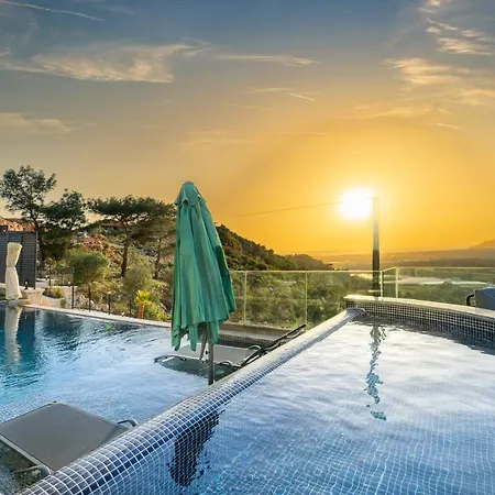 Alva Donna Exclusive - Patara * كاس